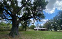 223 SE Rhett Place, Lake City, FL 32025