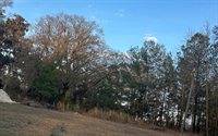 223 SE Rhett Place, Lake City, FL 32025