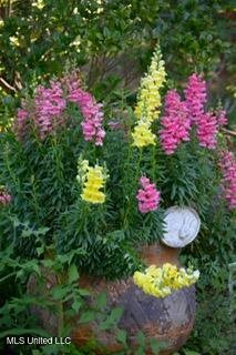 176 Will Stutely Drive, Brandon, MS 39042