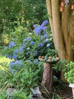 176 Will Stutely Drive, Brandon, MS 39042