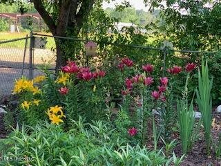 176 Will Stutely Drive, Brandon, MS 39042