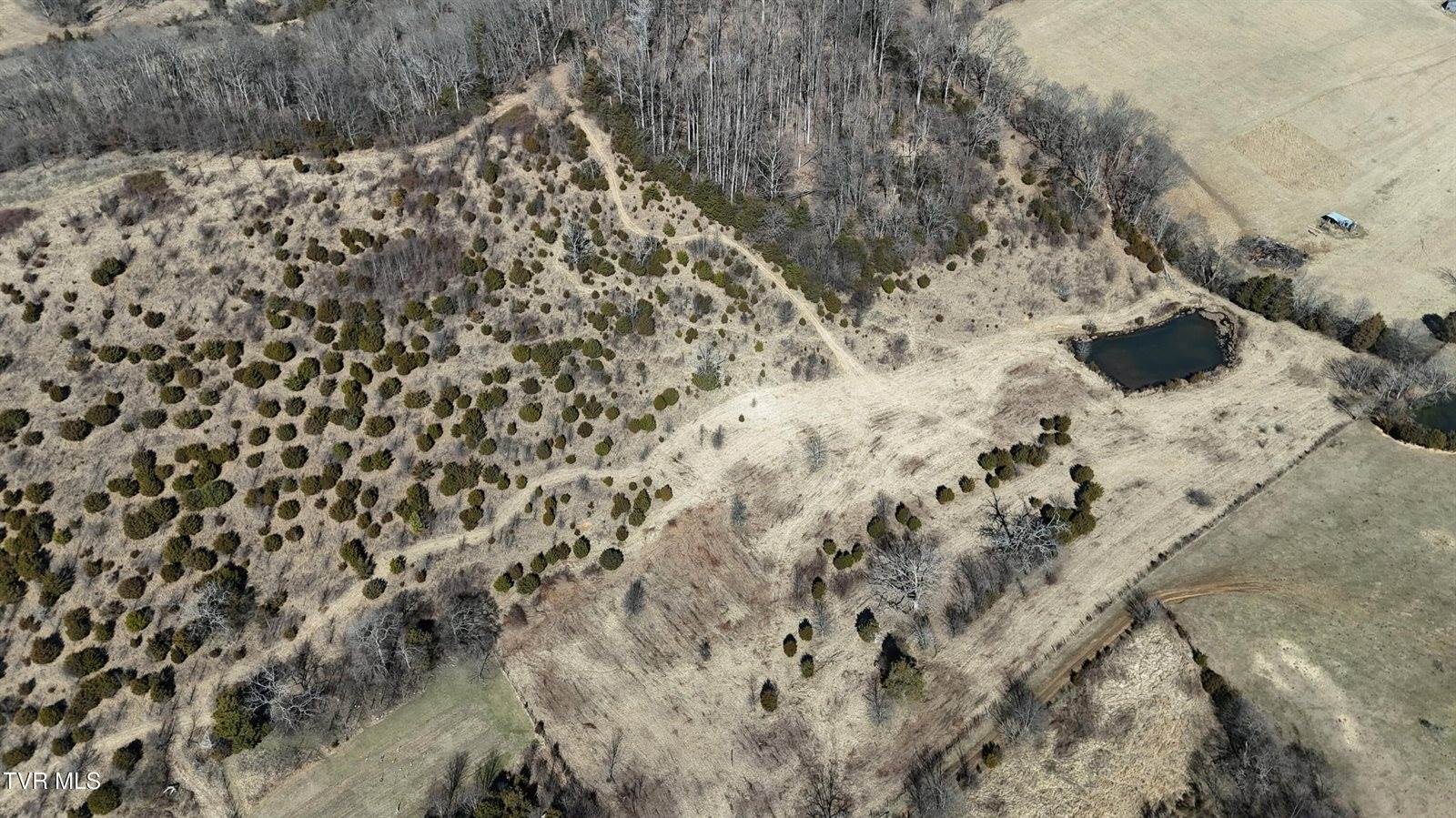 Tract 3 Methodist Ridge Road, Telford, TN 37690