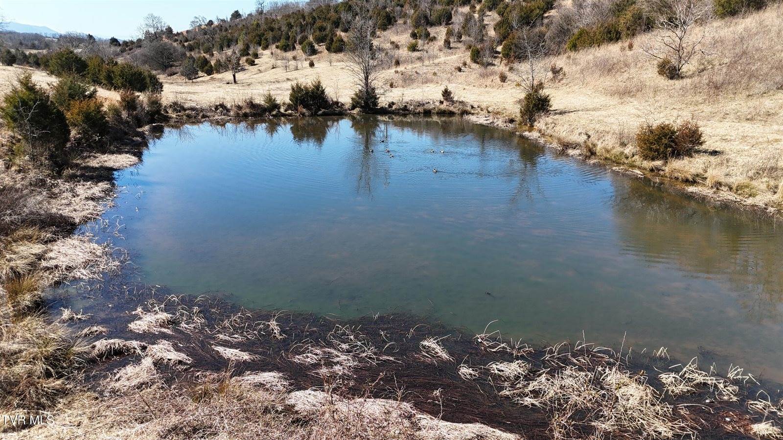 Tract 3 Methodist Ridge Road, Telford, TN 37690