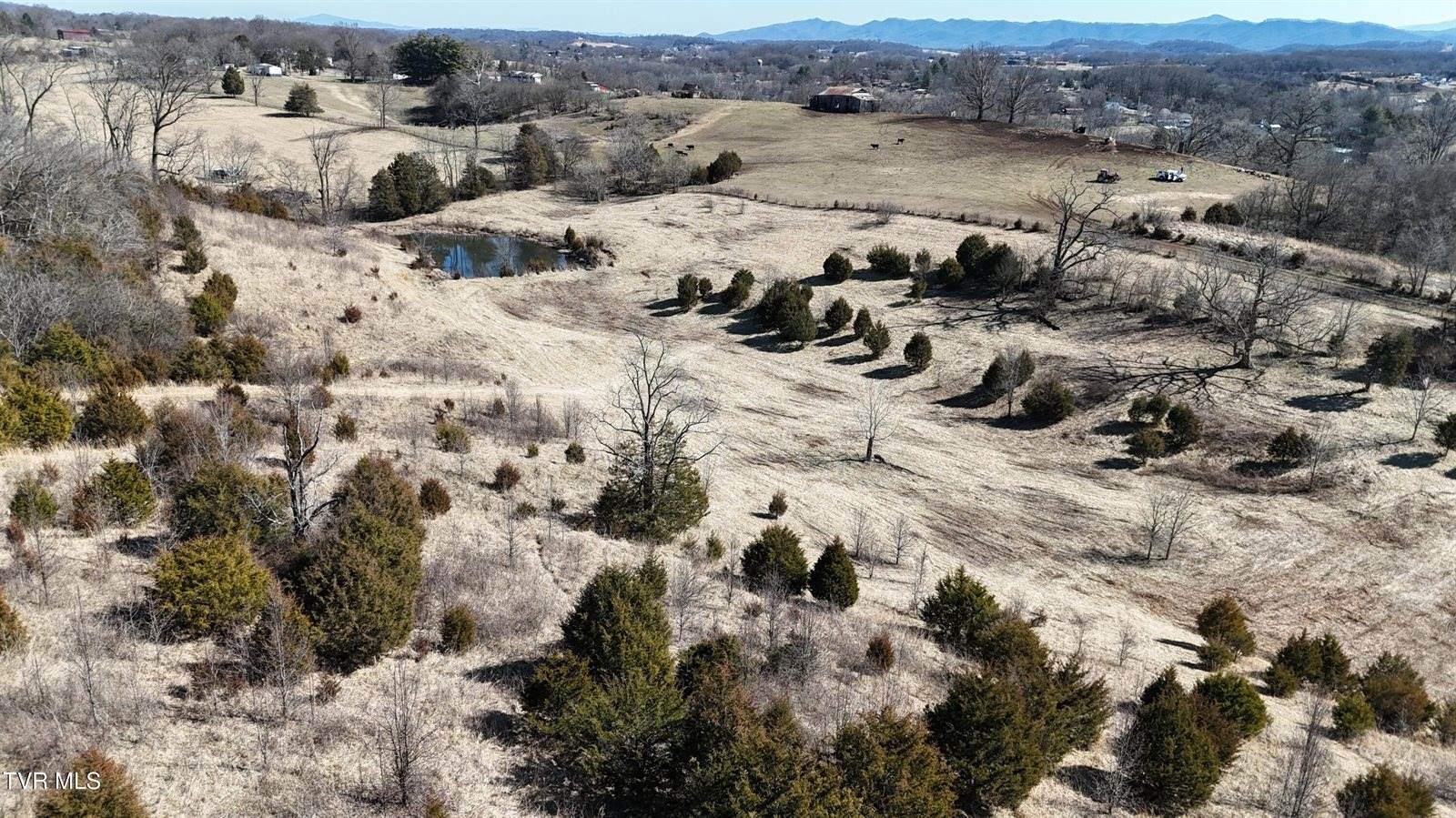 Tract 3 Methodist Ridge Road, Telford, TN 37690