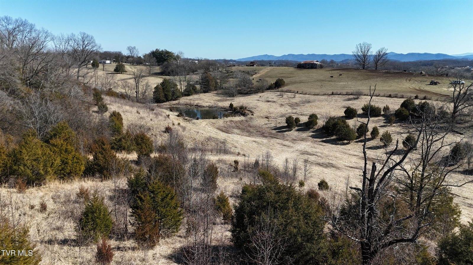 Tract 3 Methodist Ridge Road, Telford, TN 37690