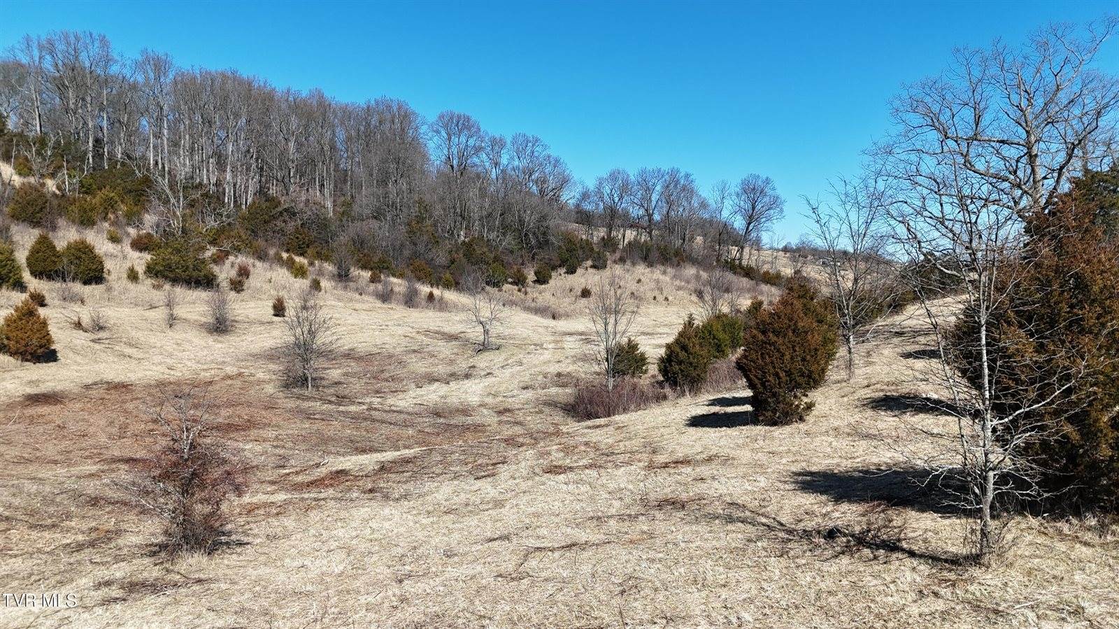 Tract 3 Methodist Ridge Road, Telford, TN 37690