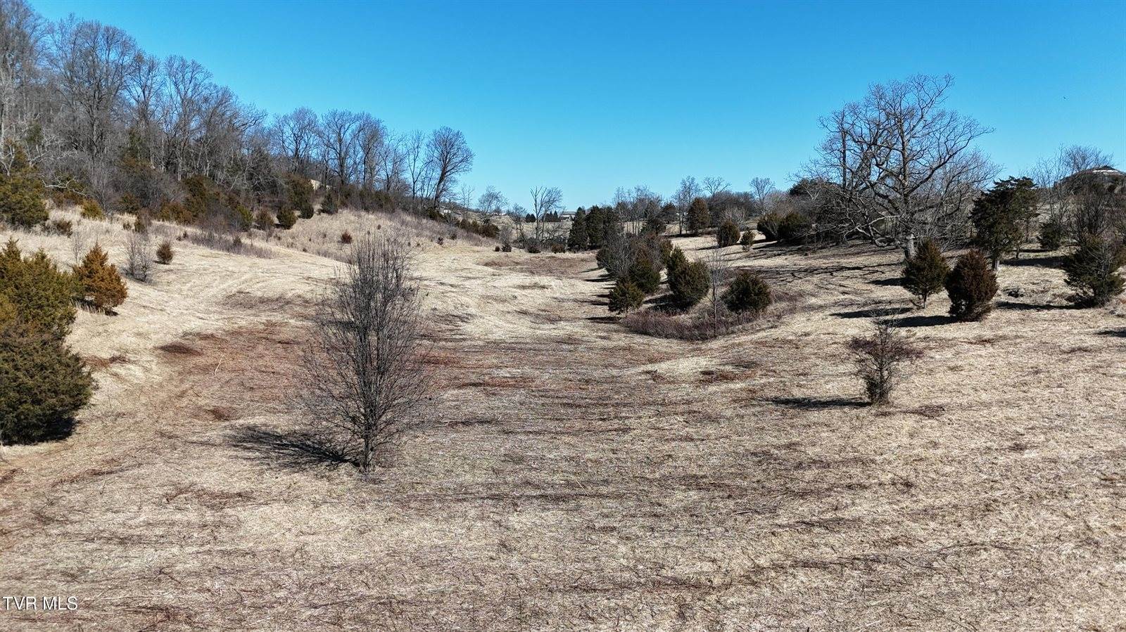 Tract 3 Methodist Ridge Road, Telford, TN 37690