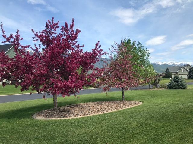 32 Prairie Falcon Court, Kalispell, MT 59901