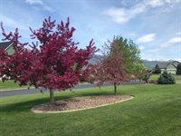 32 Prairie Falcon Court, Kalispell, MT 59901