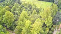 3609 East NC 10 Highway, Claremont, NC 28610