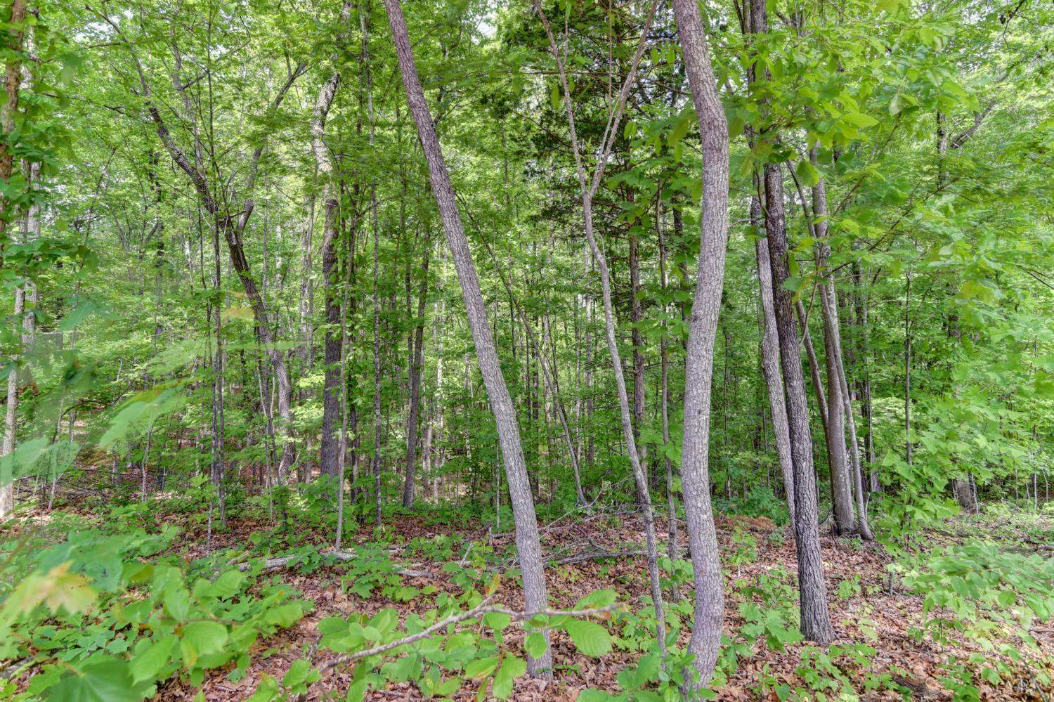416 Mimosa Lane, Rustburg, VA 24588