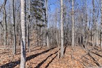 416 Mimosa Lane, Rustburg, VA 24588