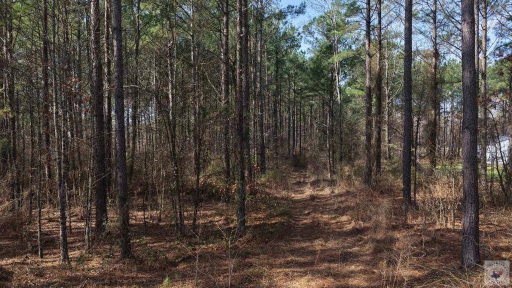 2515 & 2521 FM 3098, Texarkana, TX 75573