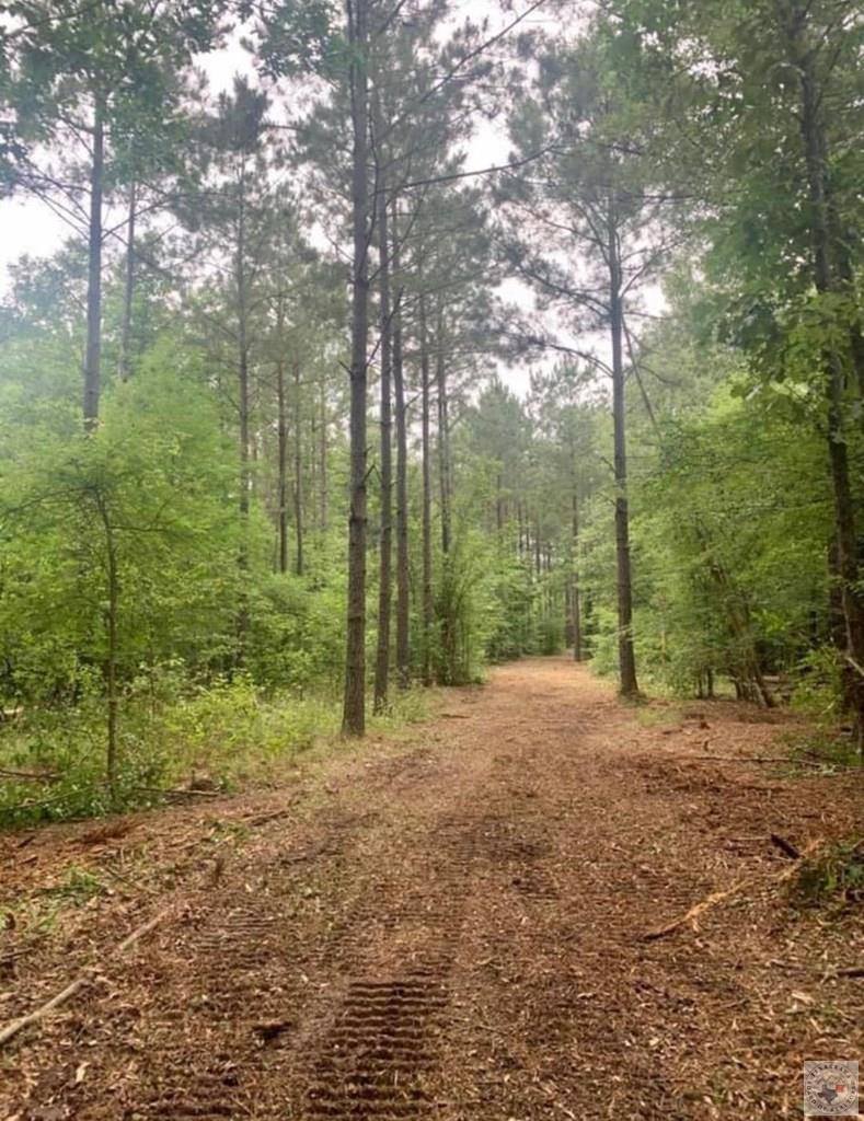 2515 & 2521 FM 3098, Texarkana, TX 75573