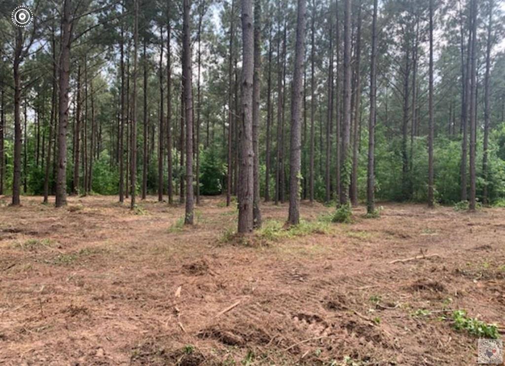 2515 & 2521 FM 3098, Texarkana, TX 75573