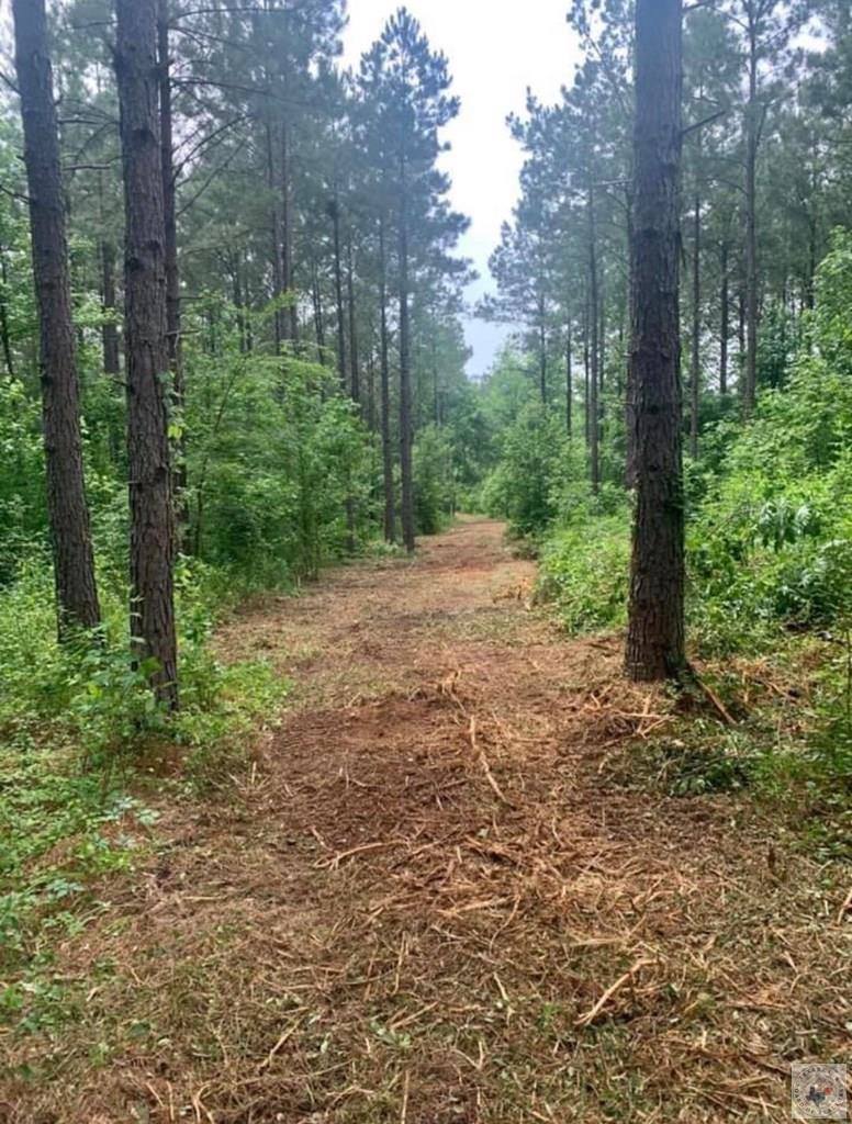 2515 & 2521 FM 3098, Texarkana, TX 75573