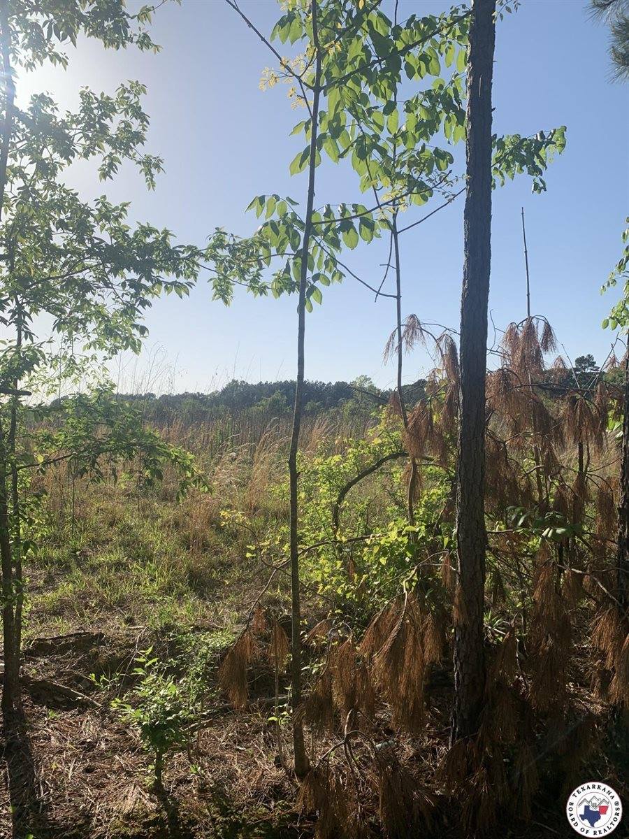 4.94 Acr Mount Olive, Texarkana, AR 71854