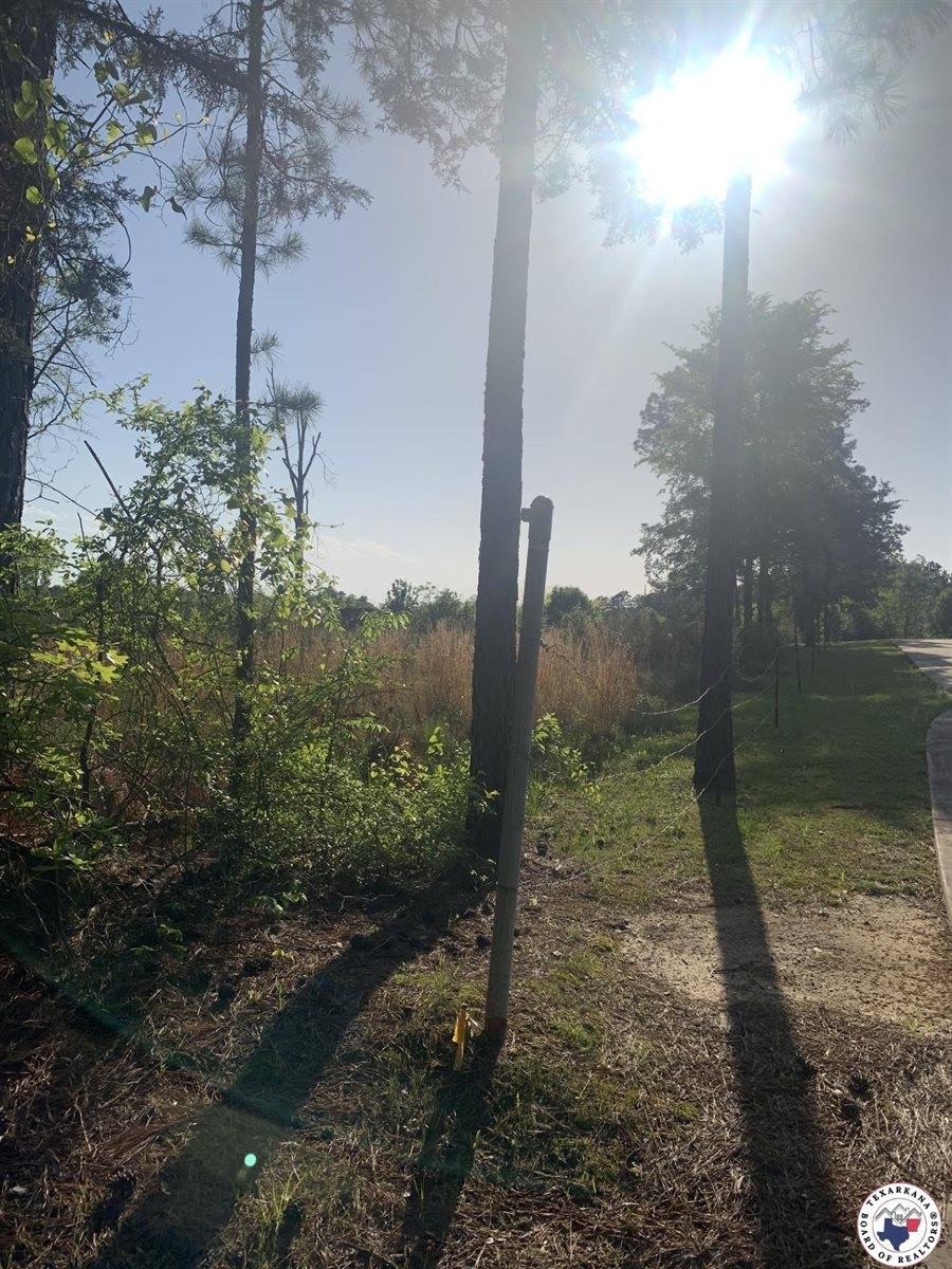 4.94 Acr Mount Olive, Texarkana, AR 71854