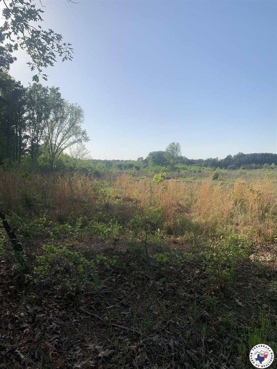 4.94 Acr Mount Olive, Texarkana, AR 71854