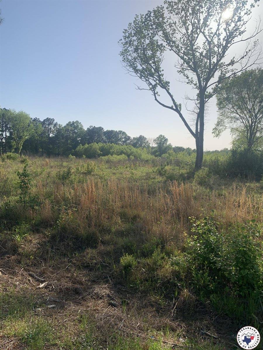 4.94 Acr Mount Olive, Texarkana, AR 71854