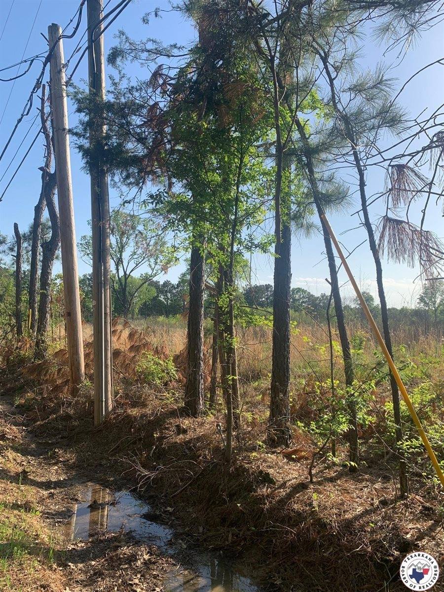 4.94 Acr Mount Olive, Texarkana, AR 71854