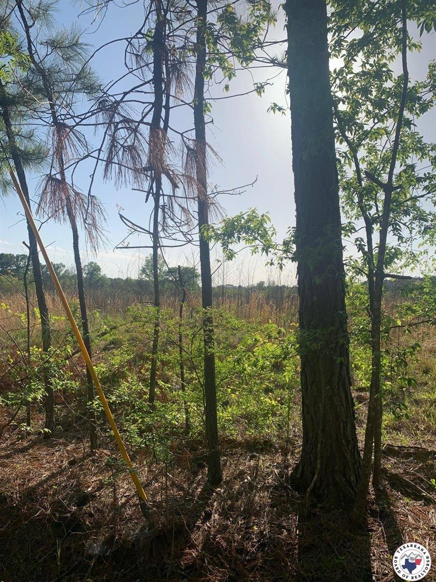 4.94 Acr Mount Olive, Texarkana, AR 71854