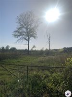 4.94 Acr Mount Olive, Texarkana, AR 71854