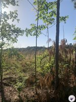 4.94 Acr Mount Olive, Texarkana, AR 71854