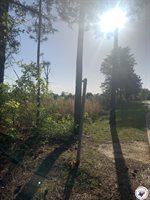 4.94 Acr Mount Olive, Texarkana, AR 71854