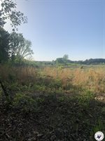 4.94 Acr Mount Olive, Texarkana, AR 71854