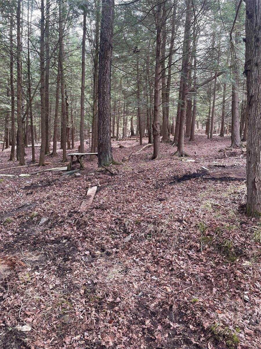 125 Old Newark Valley Road, Endicott, NY 13760