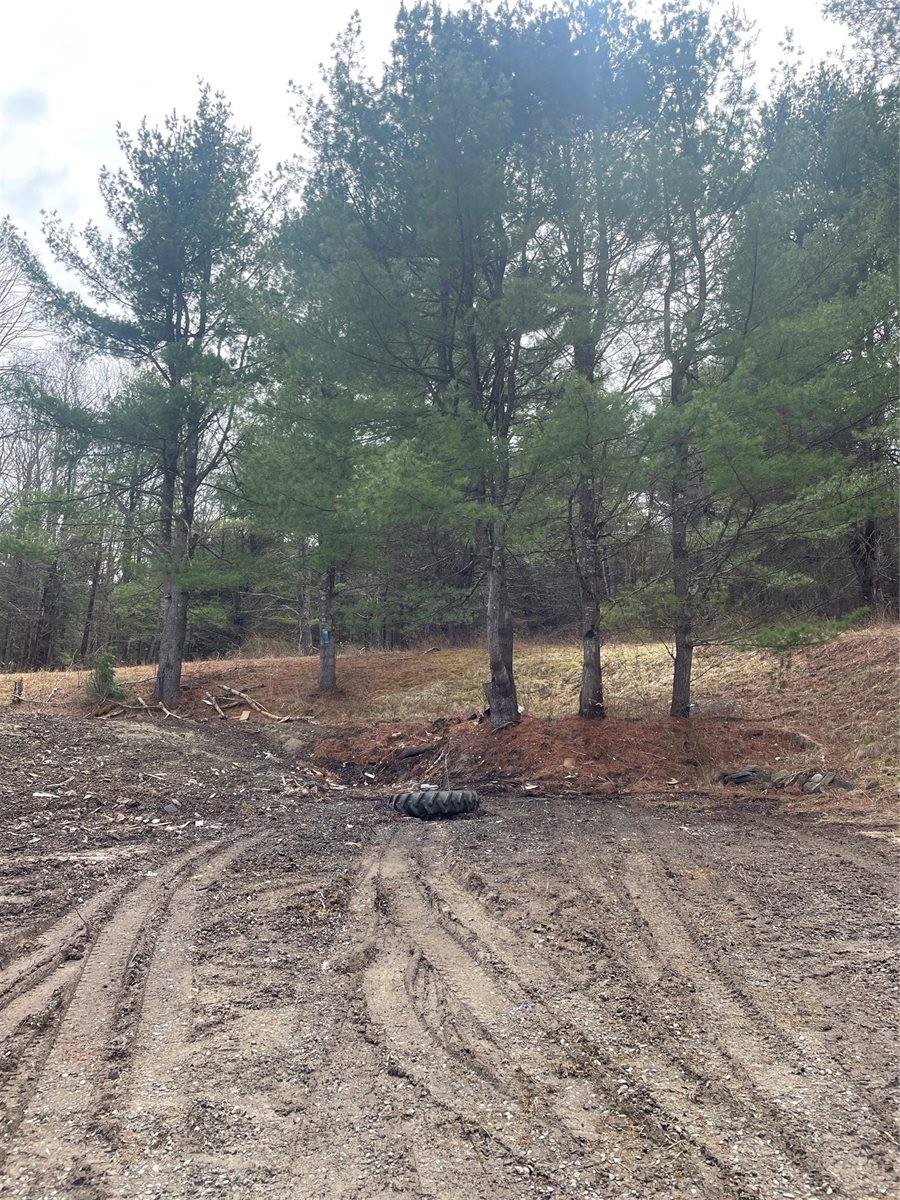 125 Old Newark Valley Road, Endicott, NY 13760