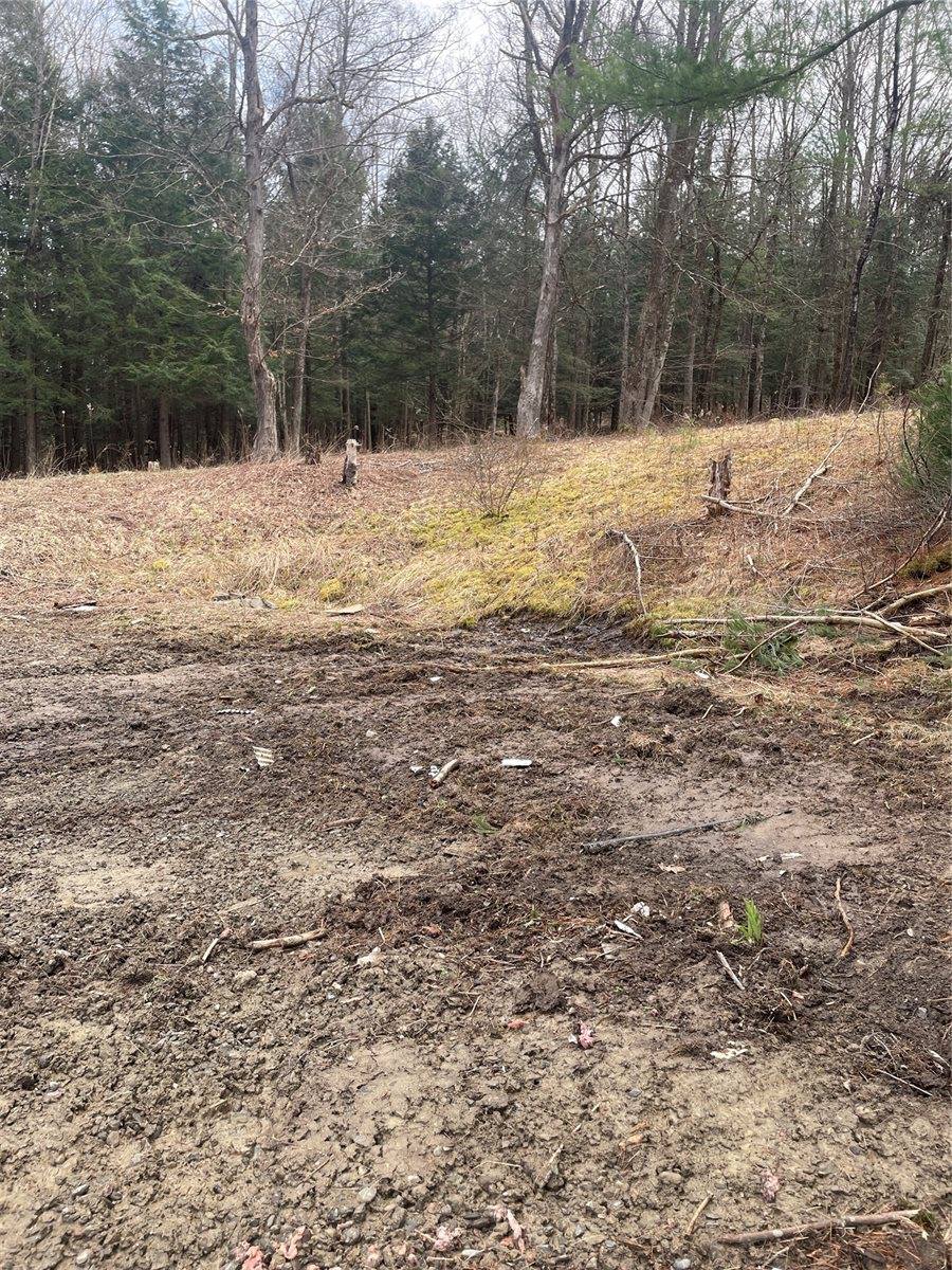 125 Old Newark Valley Road, Endicott, NY 13760