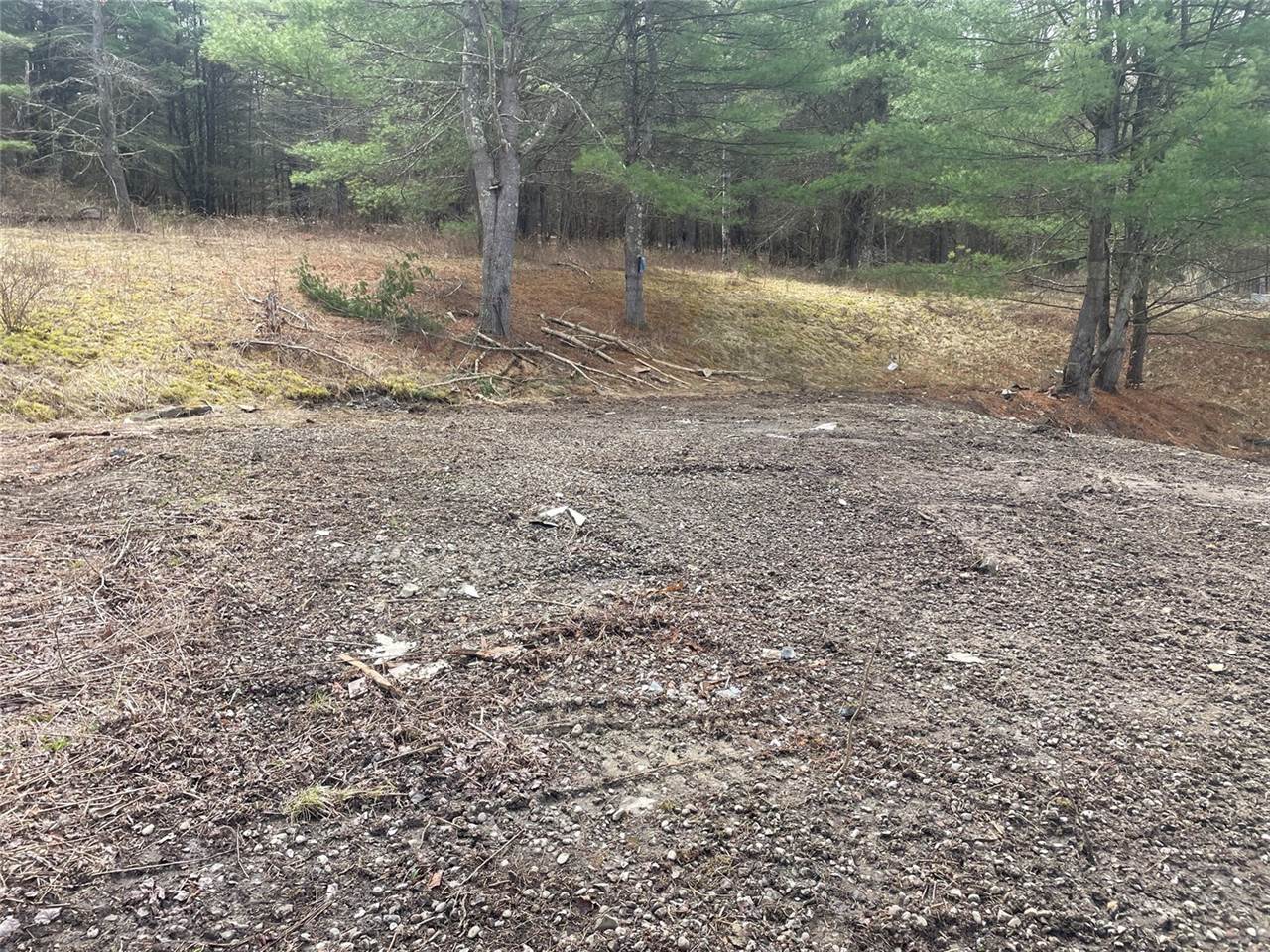 125 Old Newark Valley Road, Endicott, NY 13760