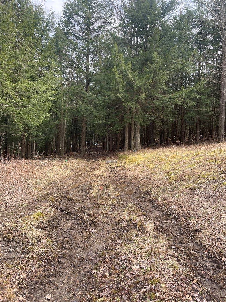 125 Old Newark Valley Road, Endicott, NY 13760