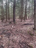 125 Old Newark Valley Road, Endicott, NY 13760