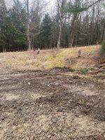 125 Old Newark Valley Road, Endicott, NY 13760