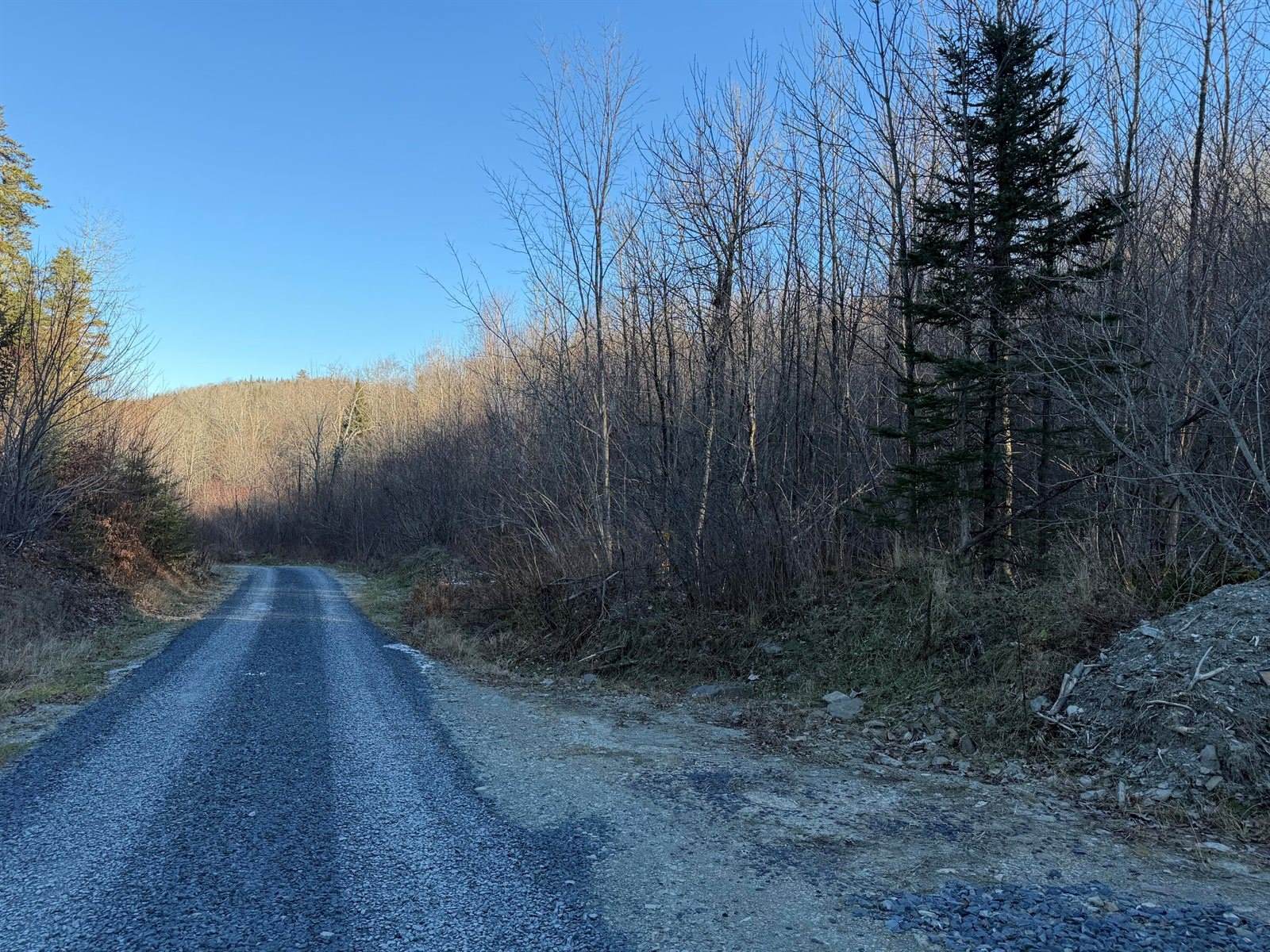 M5 L46D Black Bear Avenue, Frenchville, ME 04745