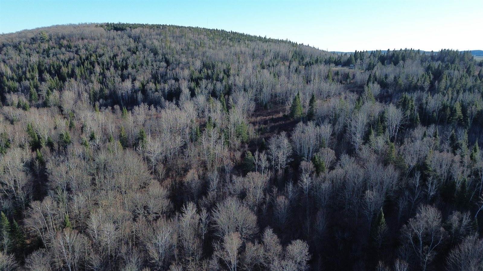 M5 L46D Black Bear Avenue, Frenchville, ME 04745
