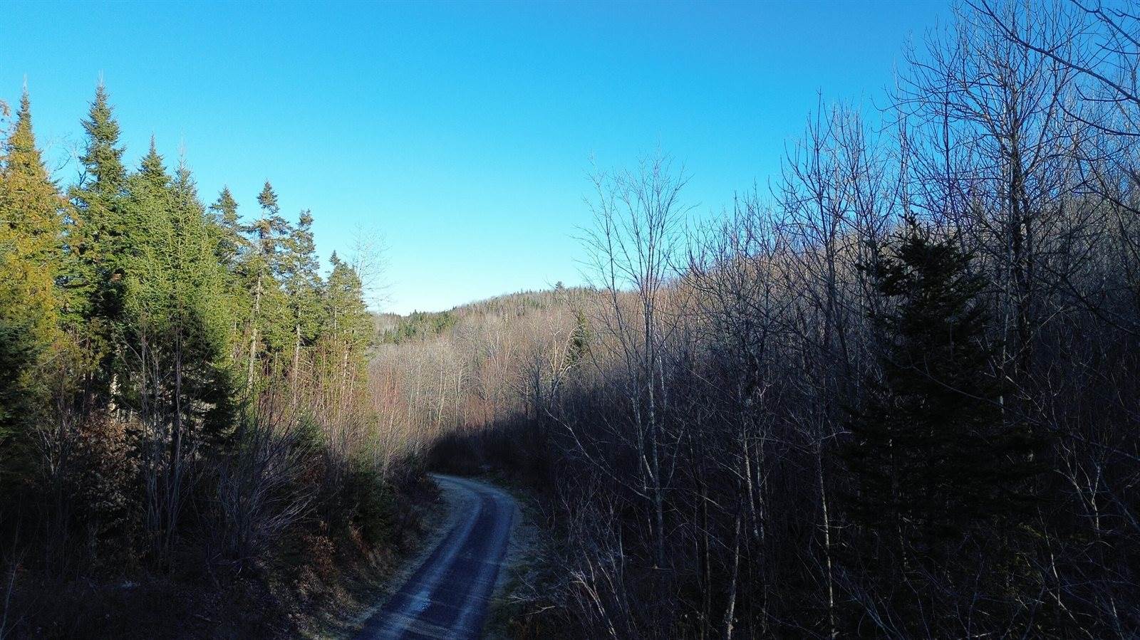 M5 L46D Black Bear Avenue, Frenchville, ME 04745