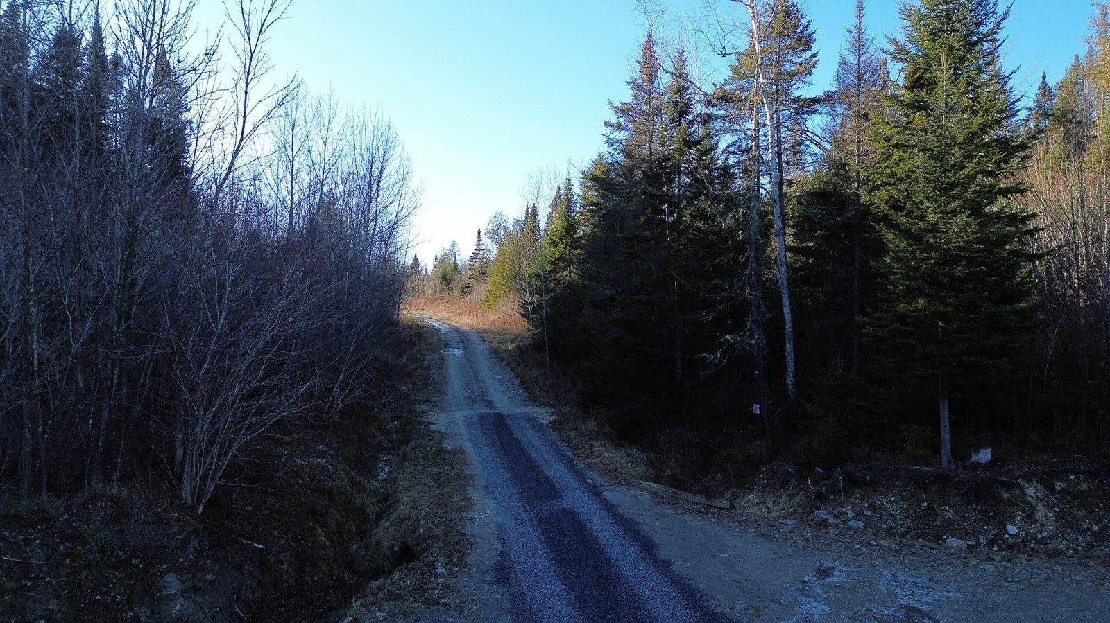 M5 L46D Black Bear Avenue, Frenchville, ME 04745