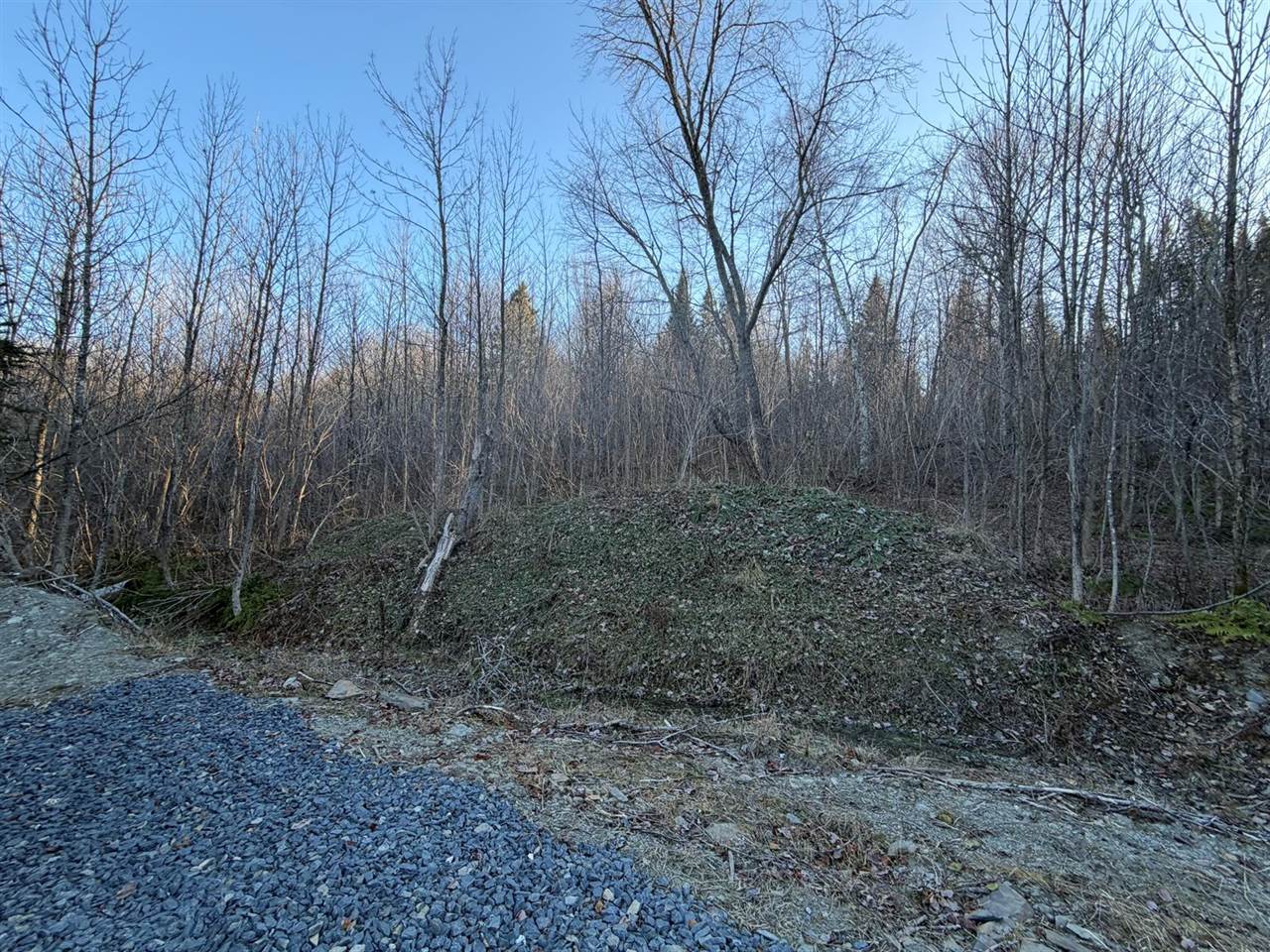 M5 L46D Black Bear Avenue, Frenchville, ME 04745