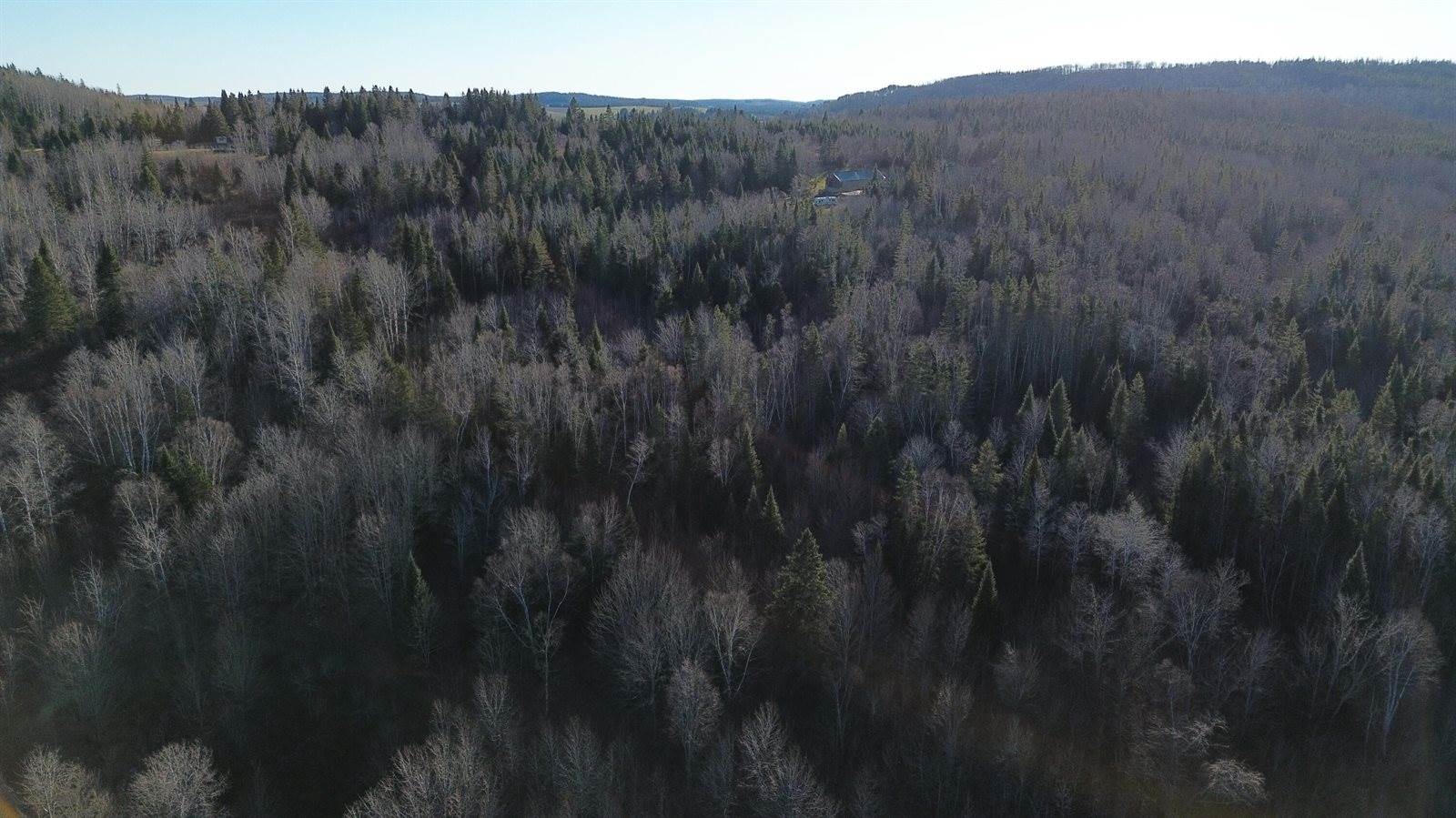M5 L46D Black Bear Avenue, Frenchville, ME 04745