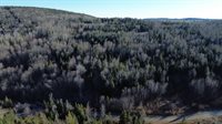 M5 L46D Black Bear Avenue, Frenchville, ME 04745