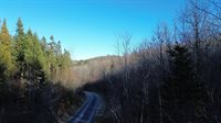 M5 L46D Black Bear Avenue, Frenchville, ME 04745