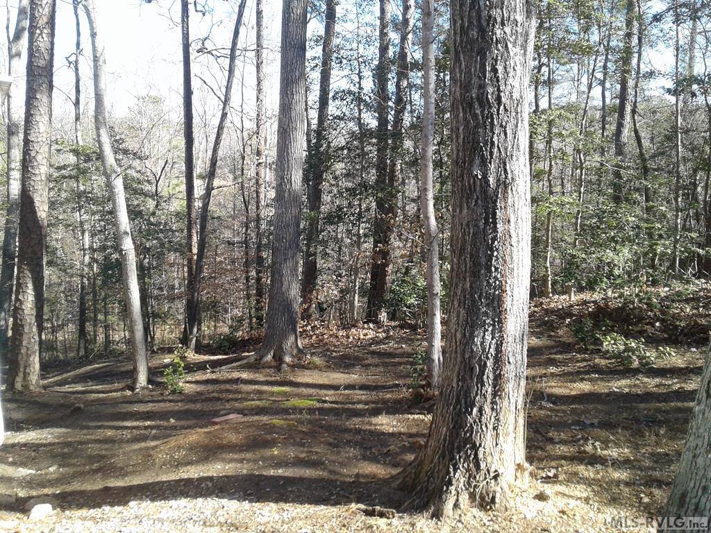 302 Bighorn Trail, Bracey, VA 23919