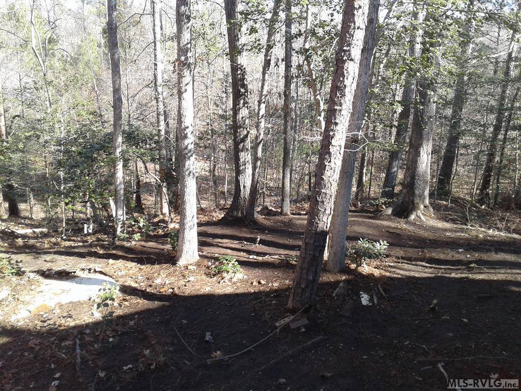 302 Bighorn Trail, Bracey, VA 23919