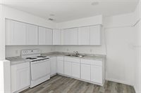 815 Papaya Drive, Tampa, FL 33619
