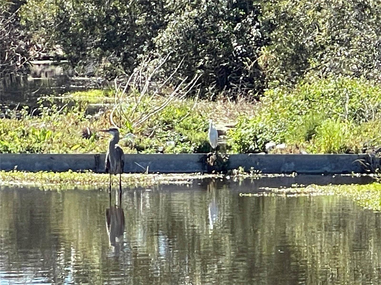 12075 68TH Terrace, Seminole, FL 33772