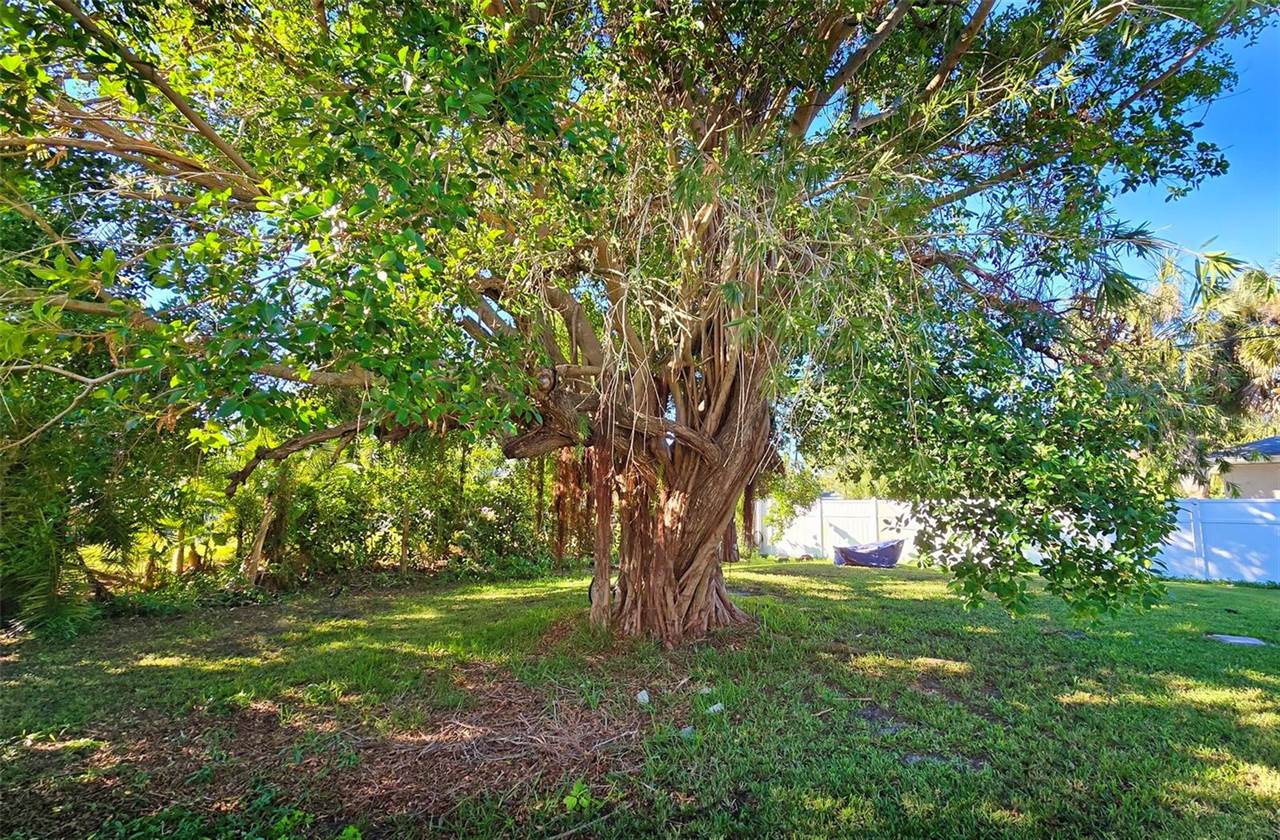 3310 Lexington Street, Sarasota, FL 34231